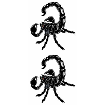 �^�g�D�[�V�[���@�T�\���i�^�g�D�[�j