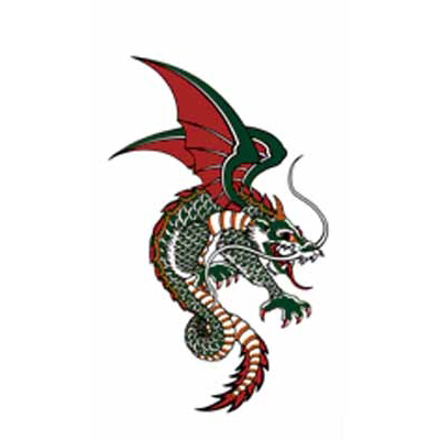 タトゥーシール 飛龍(タトゥー)