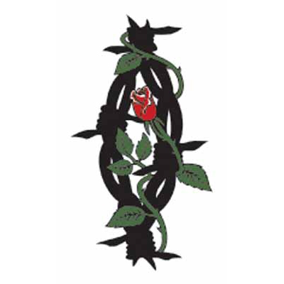 �^�g�D�[�V�[���@�S��Ԃ��K�N�i�^�g�D�[�j