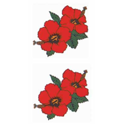 �^�g�D�[�V�[���@�n�C�r�X�J�X�i�^�g�D�[�j