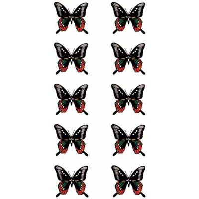 �^�g�D�[�V�[���@���i�^�g�D�[�j