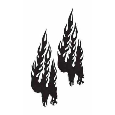 �^�g�D�[�V�[���@�Ή����h�i�^�g�D�[�j