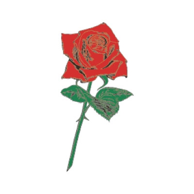 �^�g�D�[�V�[���@�K�N��ցi�^�g�D�[�j