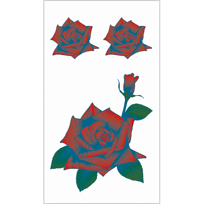 �^�g�D�[�V�[���@�K�N�i�^�g�D�[�j