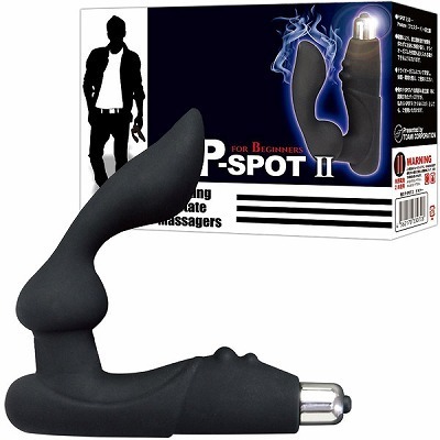 ���̂o�|�r�o�n�s�@�i�Q�j�@�r�M�i�[�i�A�i���g���j