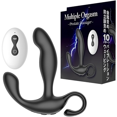 �l���������������@�n�����������i�}���`�v���I�[�K�Y���j�i�A�i���g���j