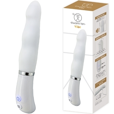 極天 −kiwami ten− Vibe(バイブ)